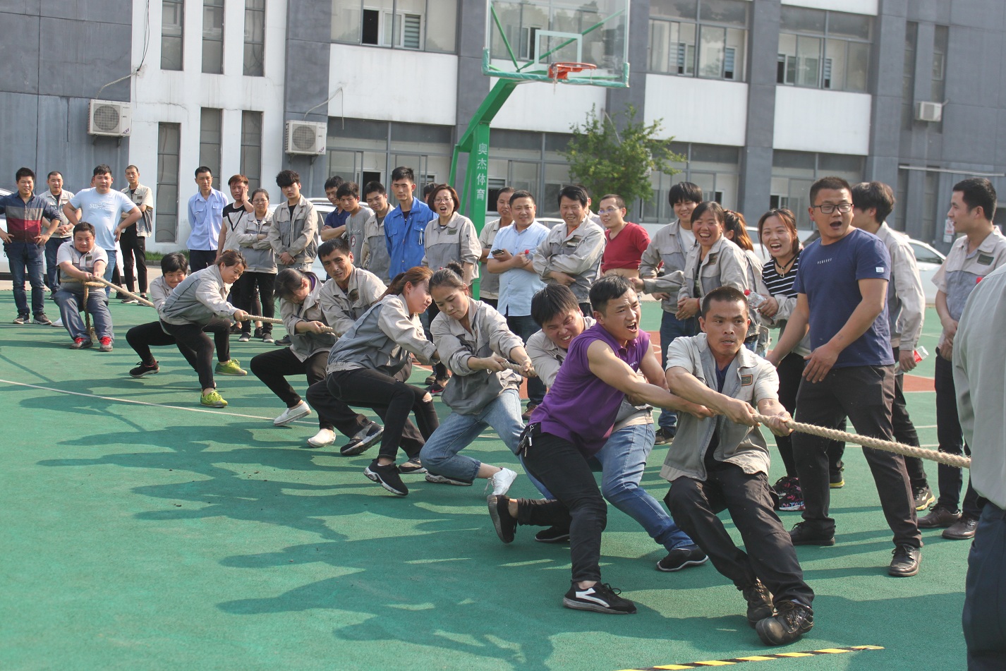 伟易博(中国区)官方网站